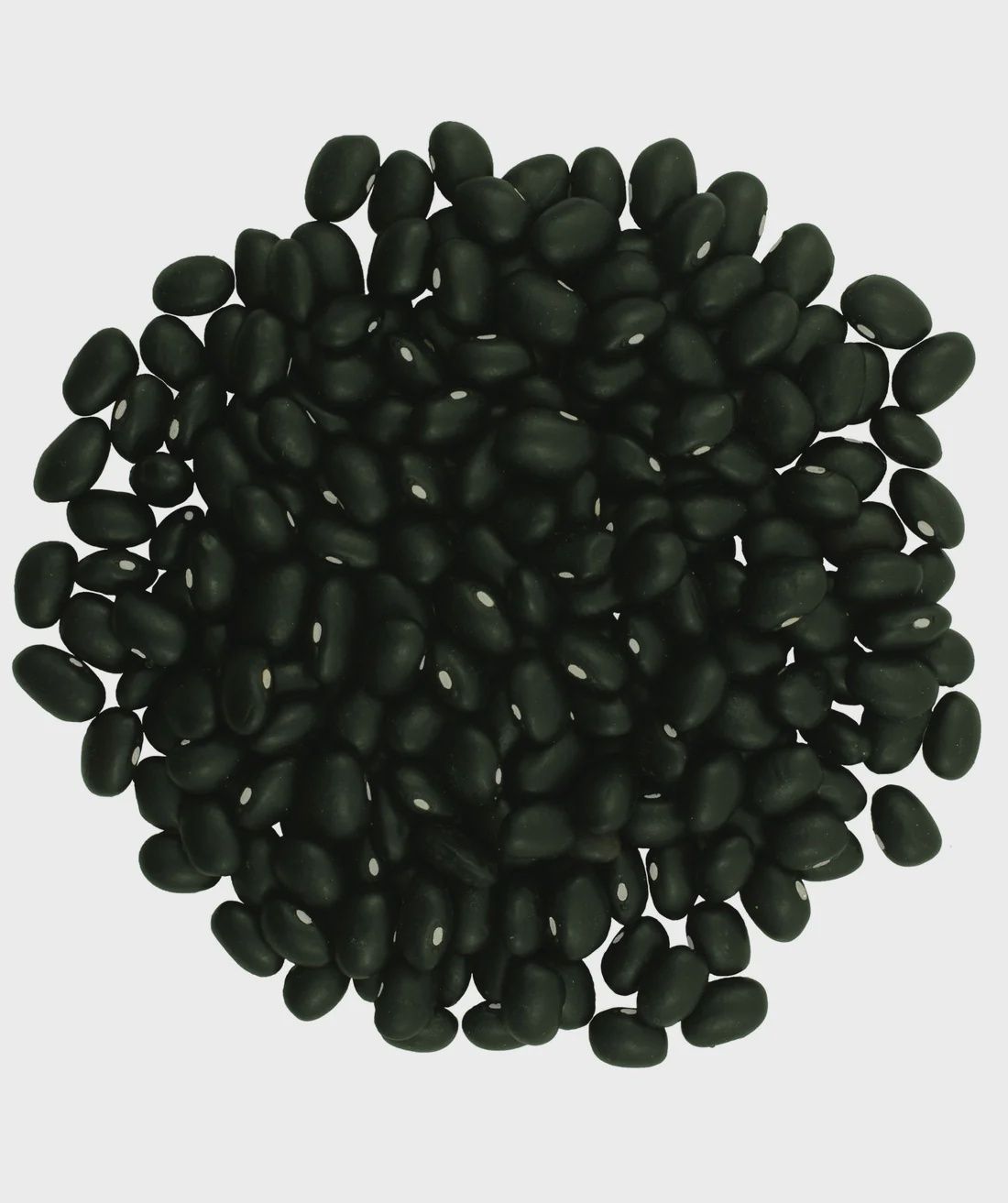Black Beans (Organic)