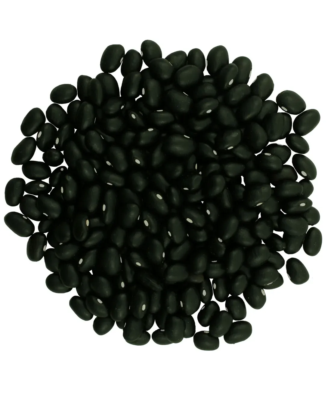 Black Beans (Organic)