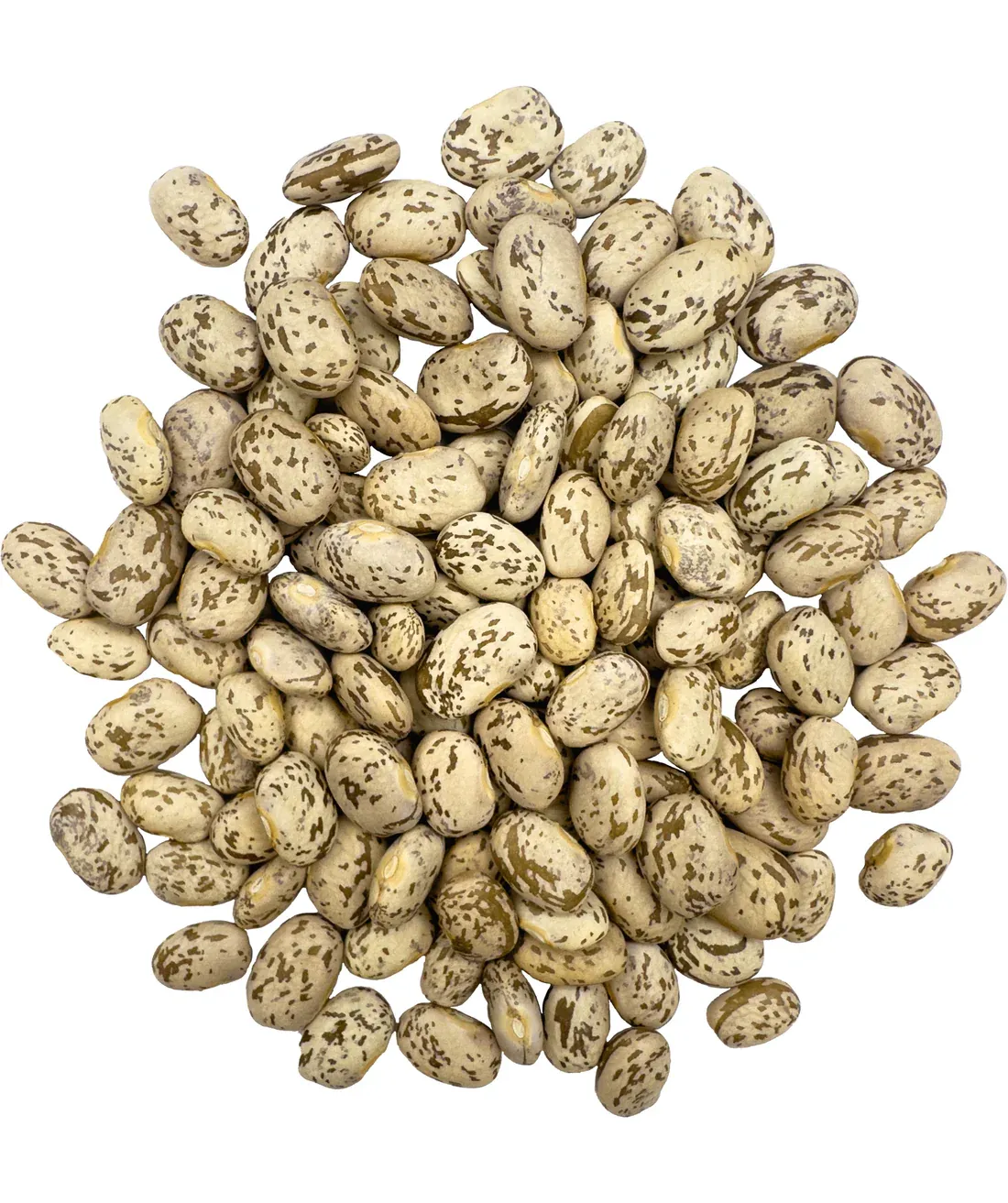 Pinto Beans (Organic)