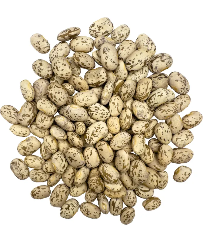 Pinto Beans (Organic)