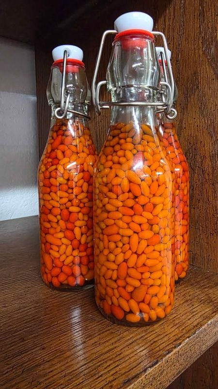 Peppers in Vinegar (8.5oz Flip Top Bottle)