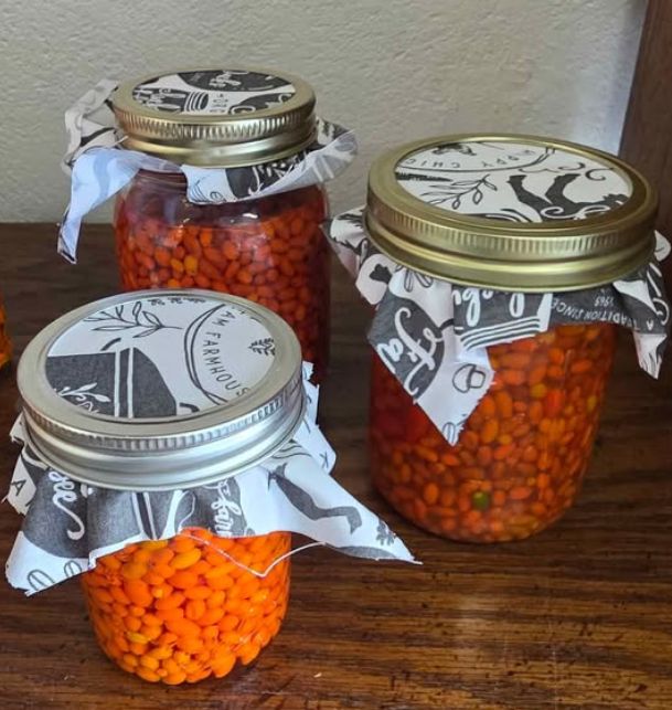 Peppers in Vinegar (Pint Jar)