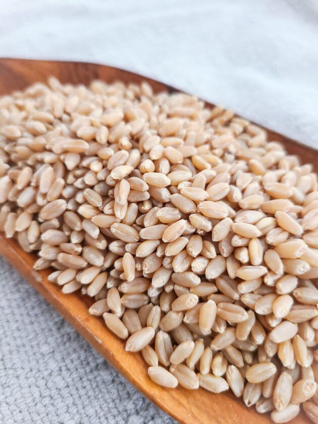 Hard White Wheat Berries, Organic