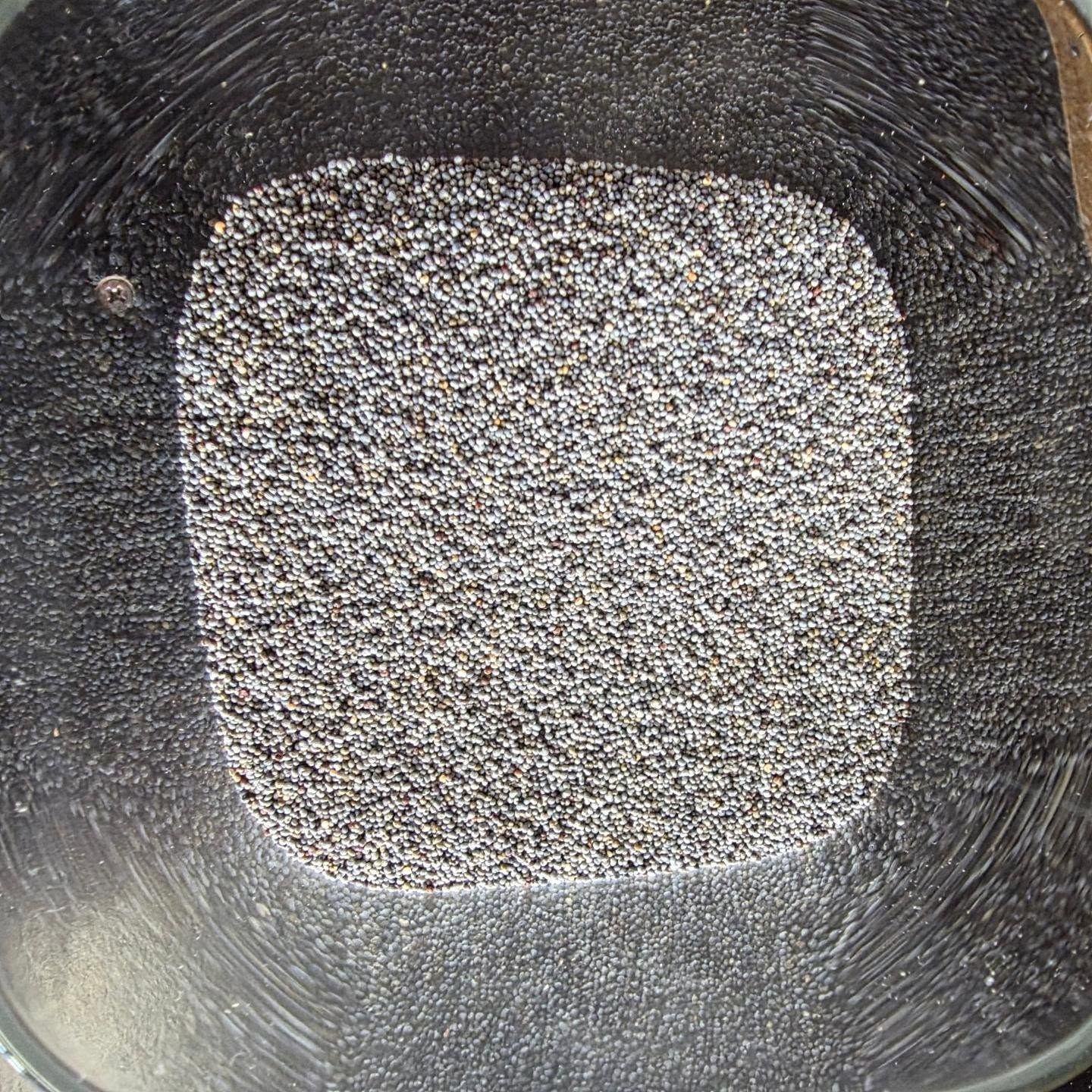 Poppy Seeds, Whole (Organic, Non-GMO)