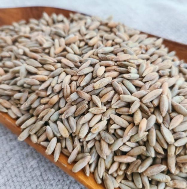 Rye Berries (Organic)