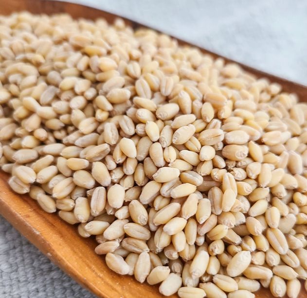 Sonora Soft White Wheat Berries (Organic, Heritage)