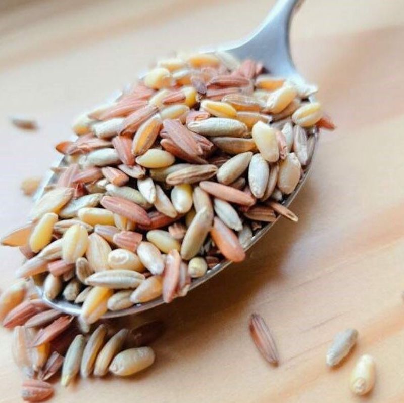 Ancient Grain Blend (4lb. Bag, Organic)