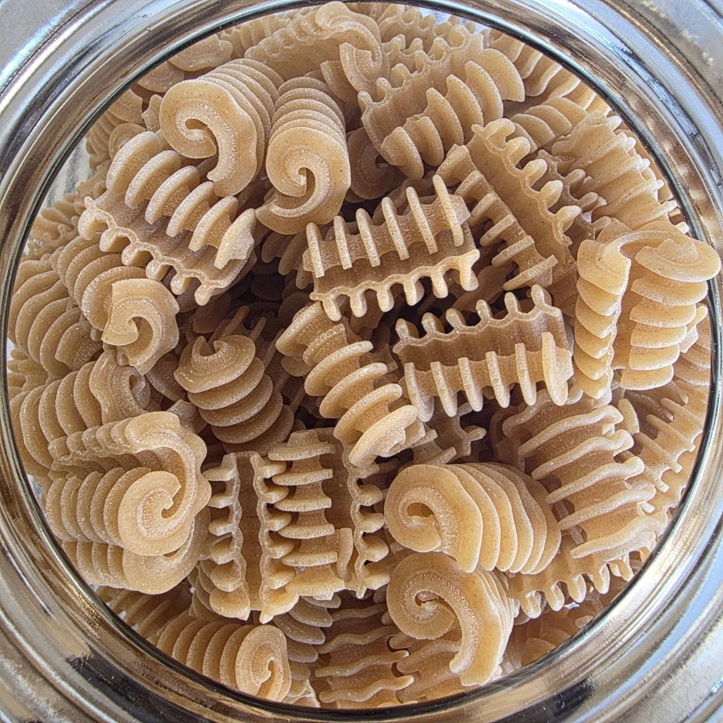 Whole Grain Radiators (Organic, Bronze-Cut Pasta)