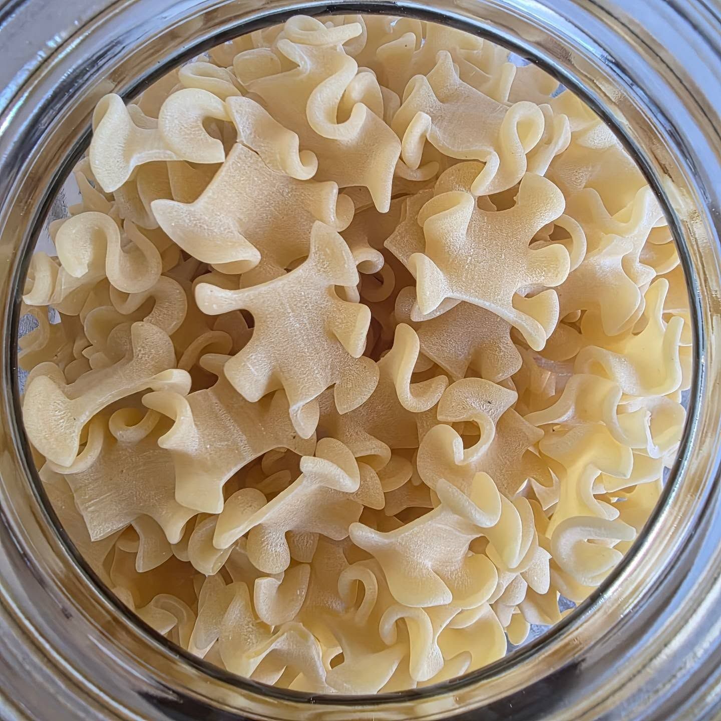 Durum Semolina Reginetti (Organic )