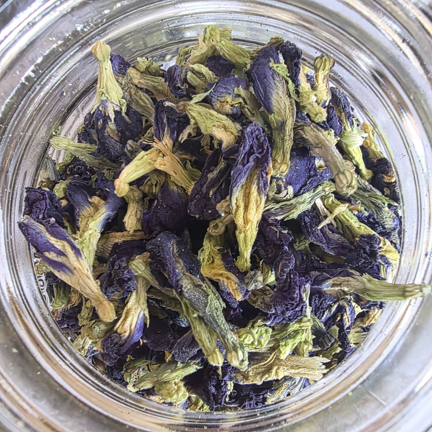 Butterfly Pea Flower