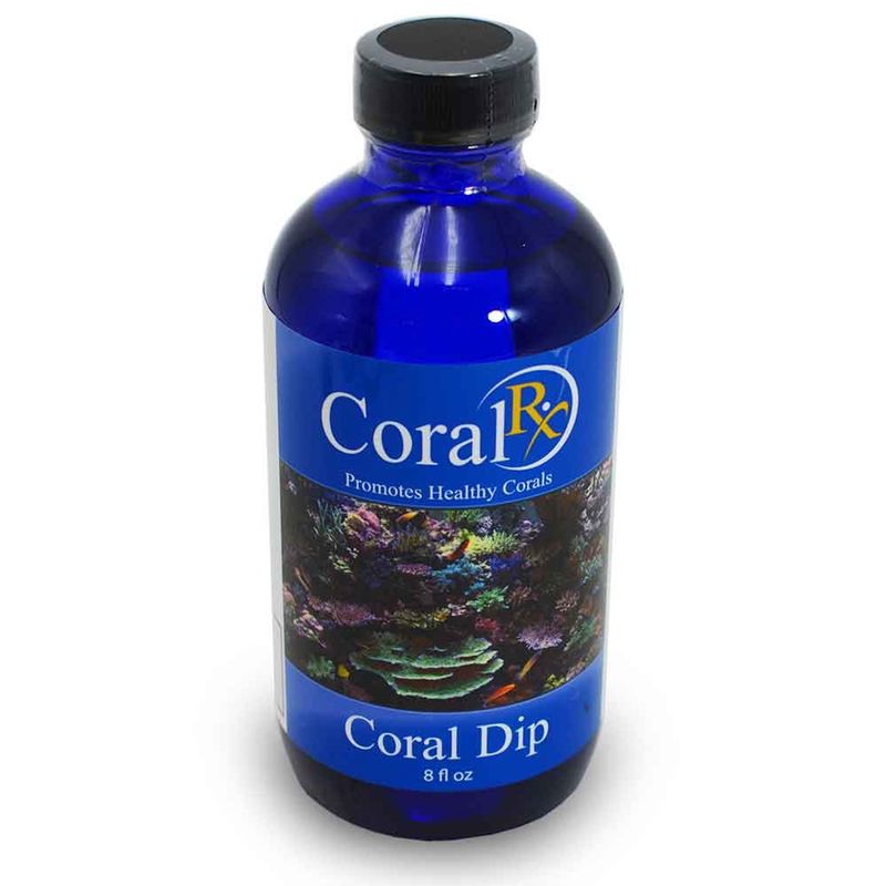 Coral Rx Dip