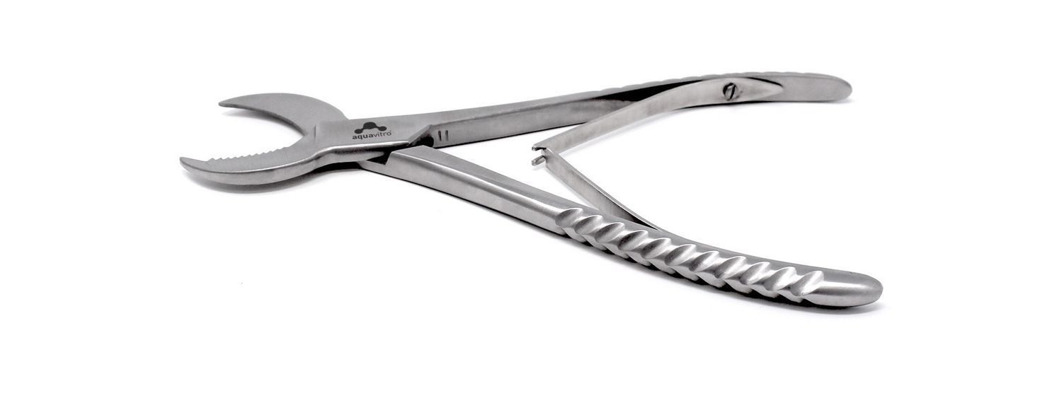 Crescent Coral Cutter