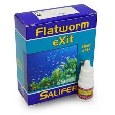 Flatworm Exit