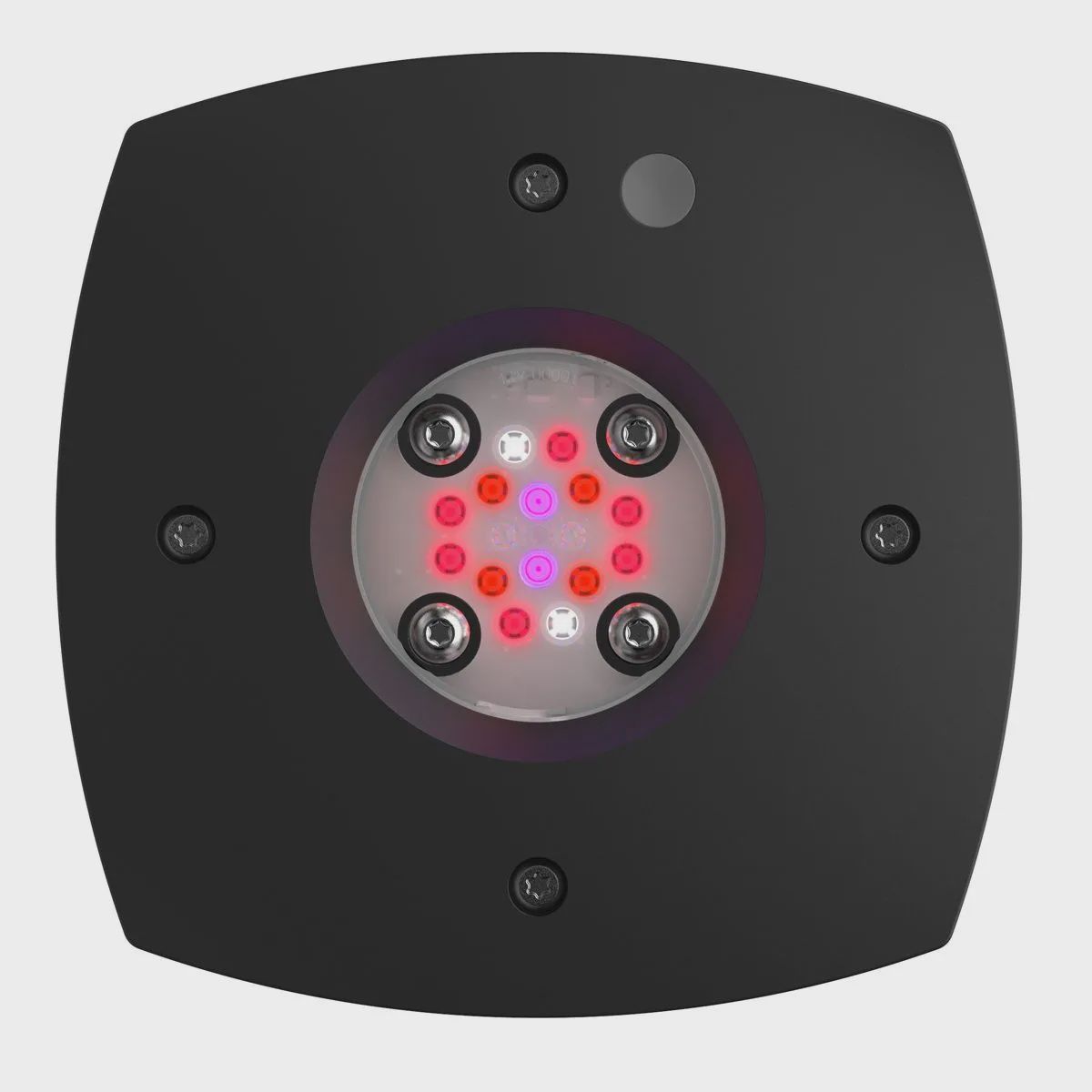 Prime 16 LED Fuge Light - Black Body