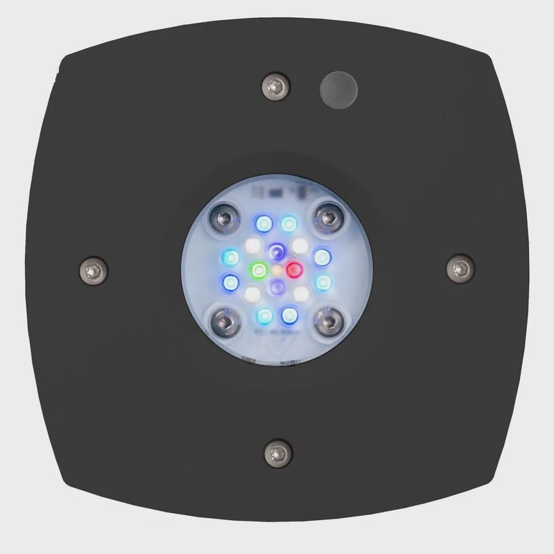 Prime 16 HD LED Reef Light