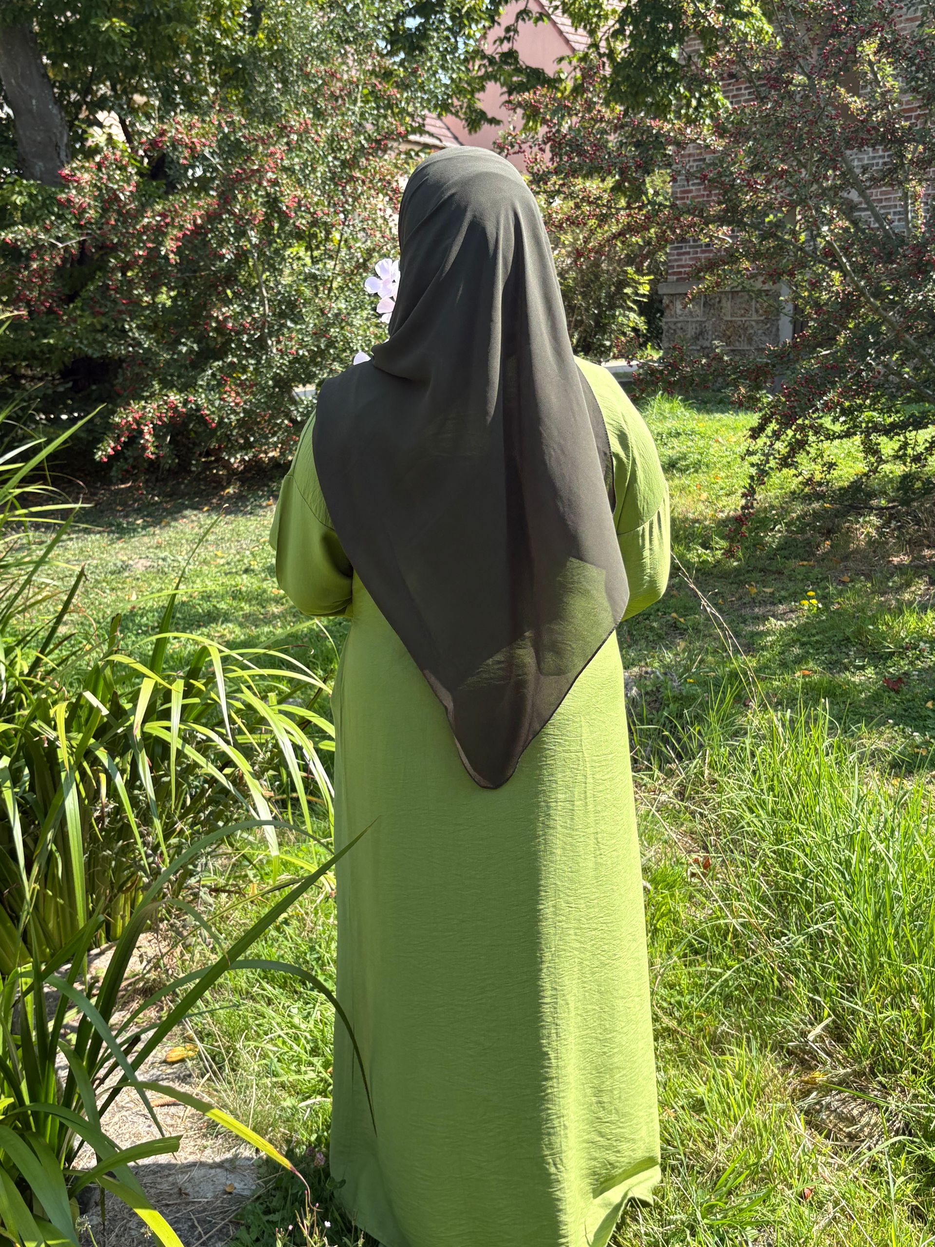 Essence de Lin - Vert Olive