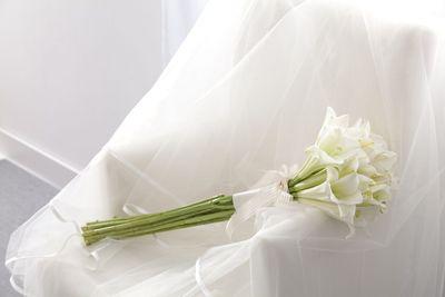 Voile de Tendresse