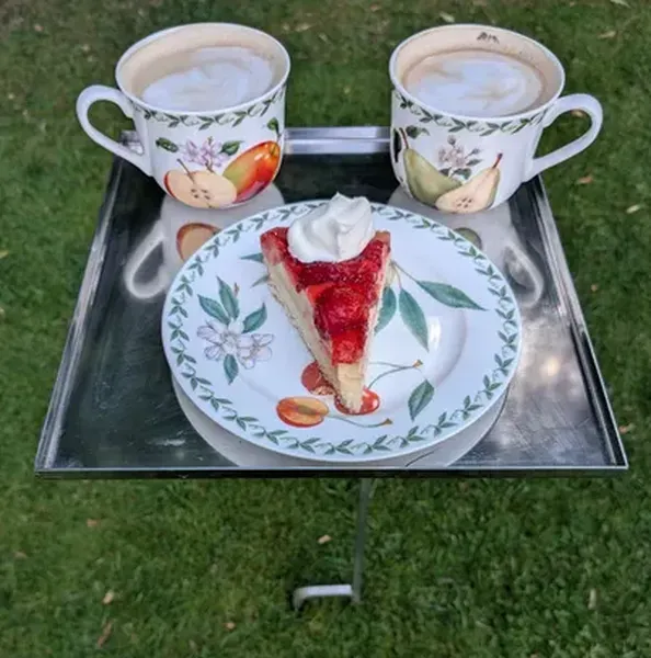 Edelstahltisch Stecktisch Campingtisch "Reier"