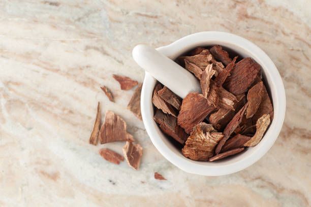 Arjuna Bark