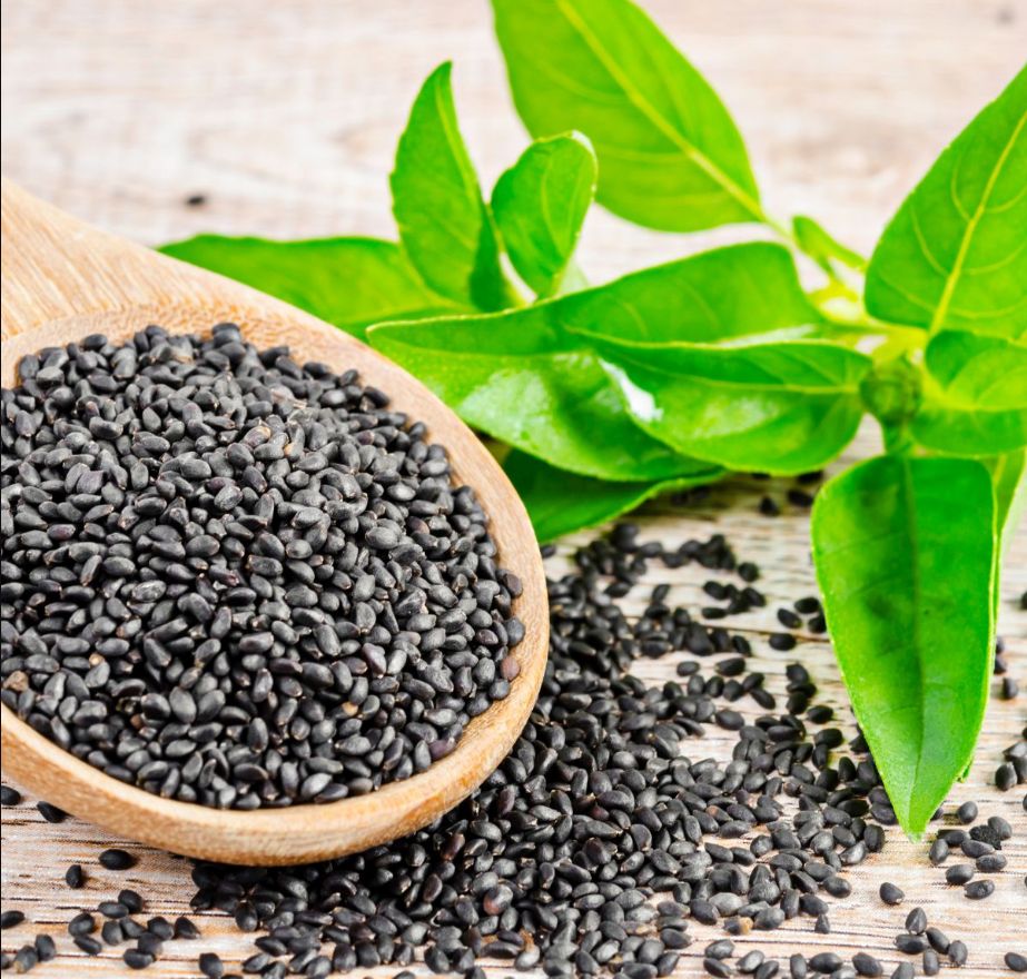 Basil Seeds
