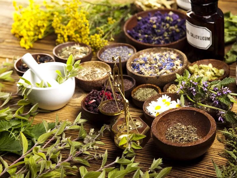 Herbs