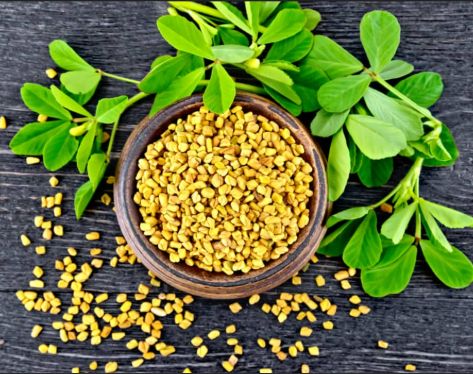 Fenugreek Seeds