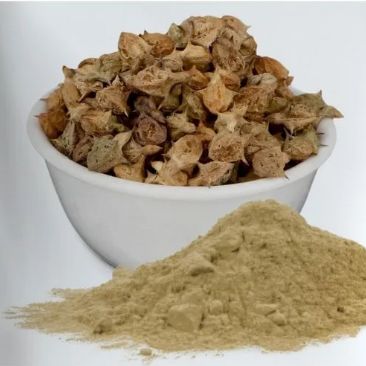 Gokhru Powder