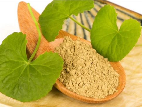 Gotu Kola Powder