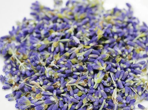 Lavender Buds