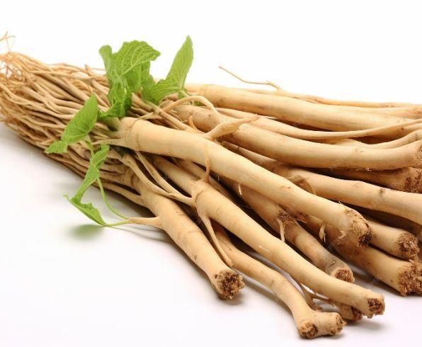 Shatavari Roots
