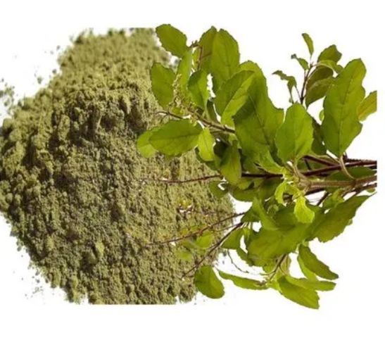 Tulsi Leaf Powder