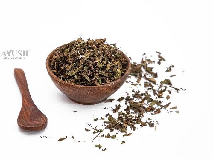 Tulis Rama Rama Tulsi Rama Dried