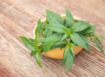 Chirata Raw