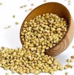 Coriander Seed
