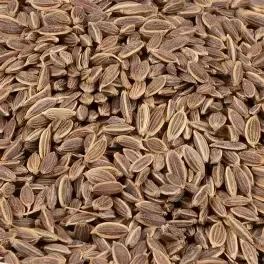 Dill Seeds (Suva)