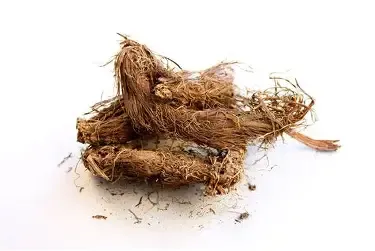 Jatamansi Powder