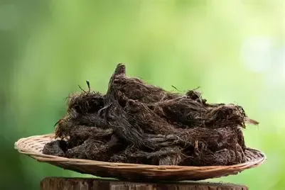 Jatamansi Root