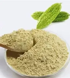 Karela Powder