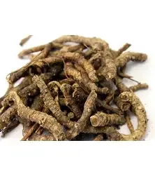 Kutki Root