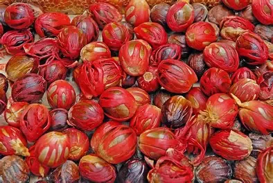 Nutmeg