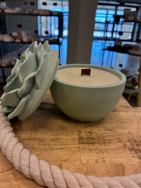 8Oz Suculenta Mint Green Baja Cactus