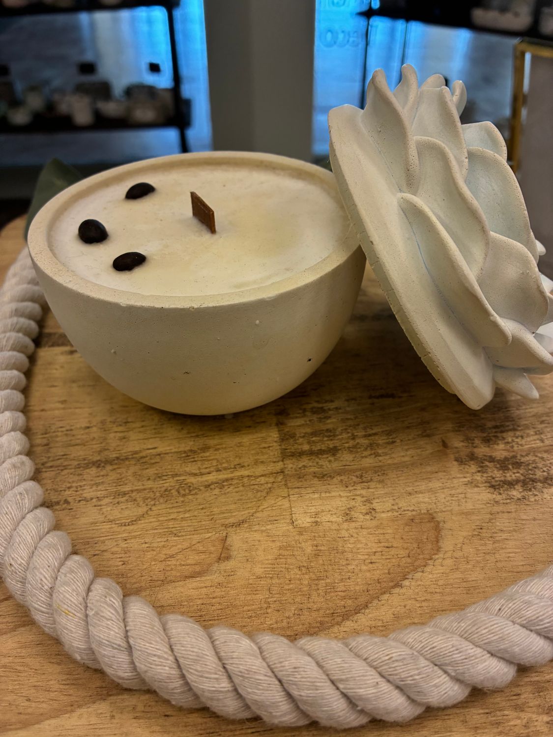 8oz Succulent , Coffee House, White