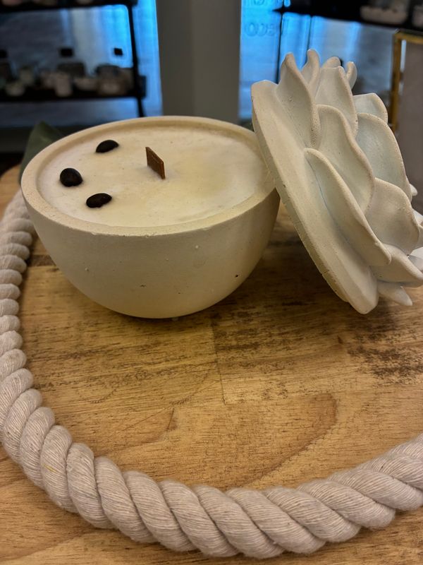 8oz Succulent , Coffee House, White