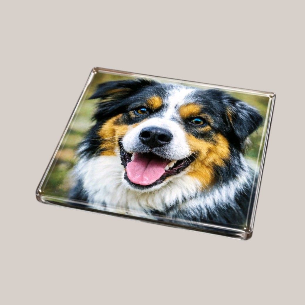 Personalised pet photo glass coaster with custom image unique gift for dog lovers made to order by Pbwcreations