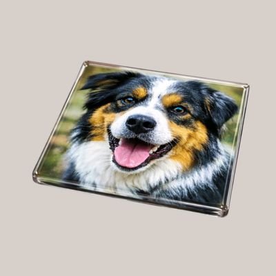 🐾 Personalised Glass Photo Coaster — Any Photo, Image or Text | 10cm x 10cm Personalised pet photo glass coaster with custom image unique gift for dog lovers made to order by Pbwcreations