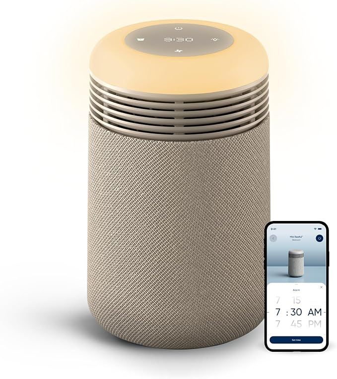 BLUEAIR Purifier for Bedroom