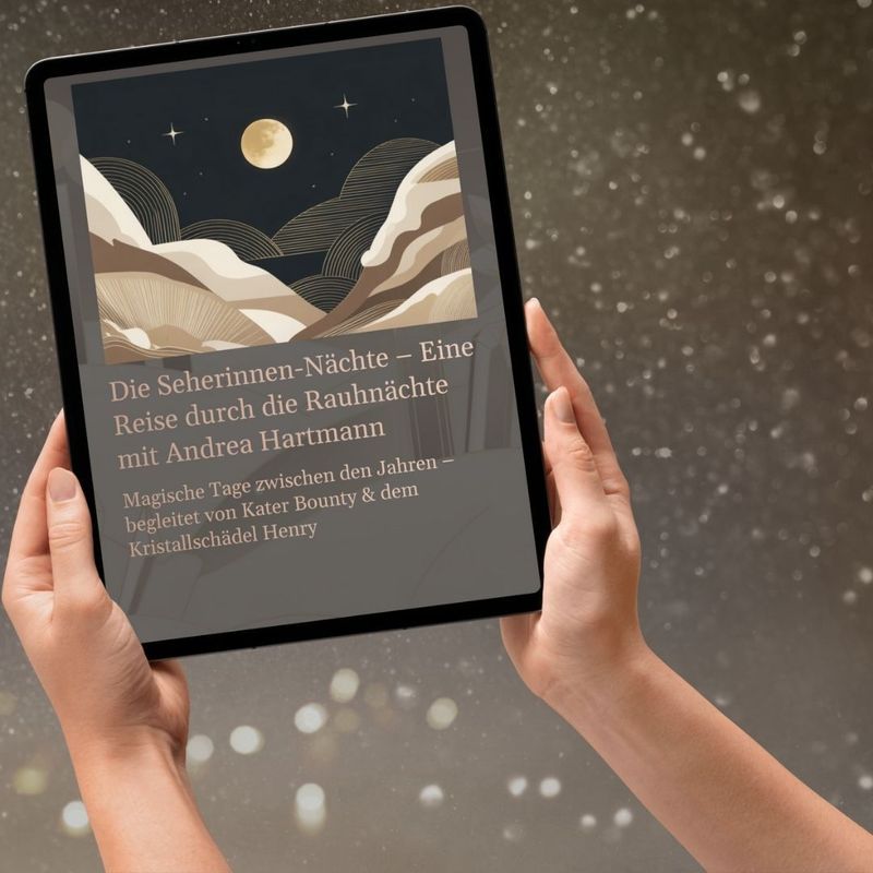 ✨ Die Seherinnen-Nächte – Eine Reise durch die Rauhnächte mit Andrea Hartmann ✨ Die Seherinnen-Nächte – Eine Reise durch die Rauhnächte mit Andrea Hartmann