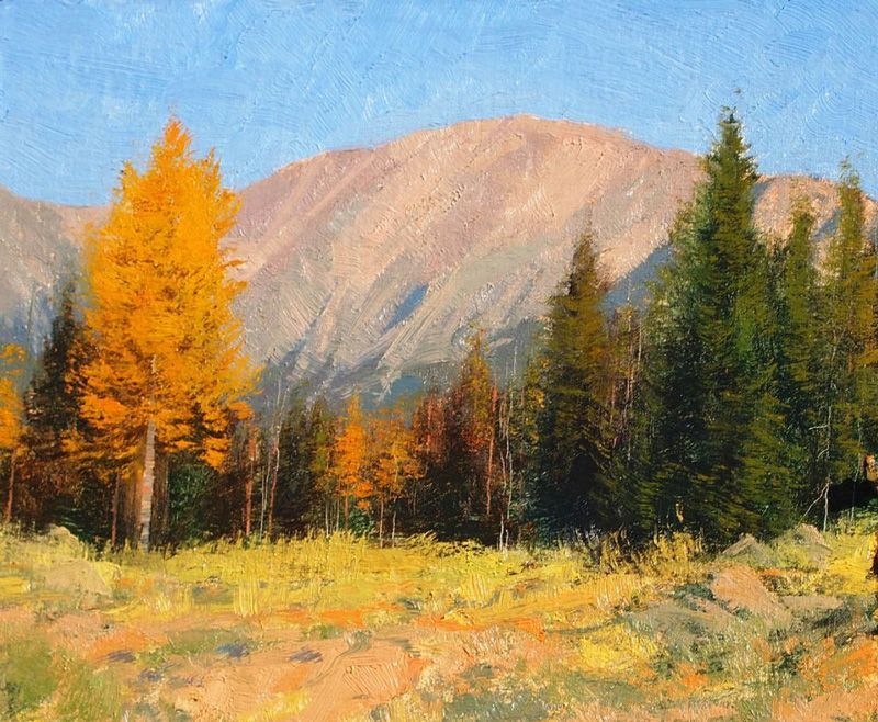 “Fall Morning Daylight”