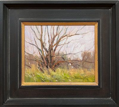 “Along Willow Trail”
