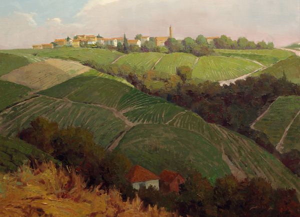 “Rolling Vineyards”